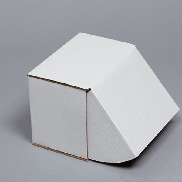 Corrugated cardboard mailer for 10